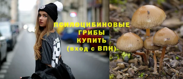 гашик Балабаново