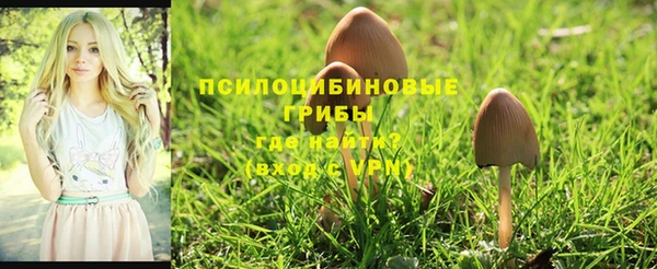 а пвп мука Балахна