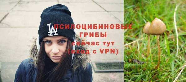a pvp Баксан